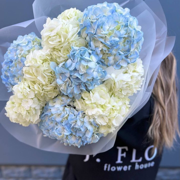 9 бело-голубых гортензий в Хабаровске