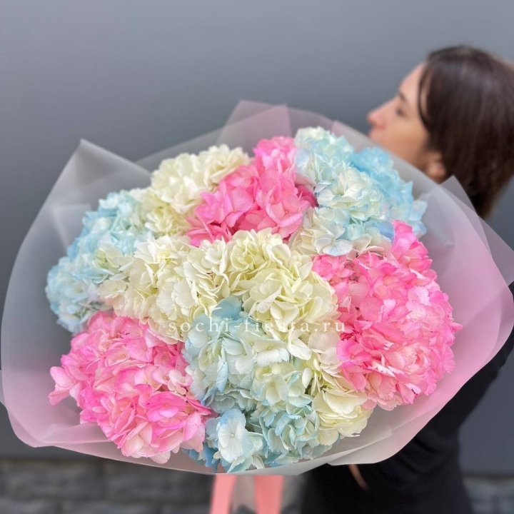 9 гортензий микс в Хабаровске