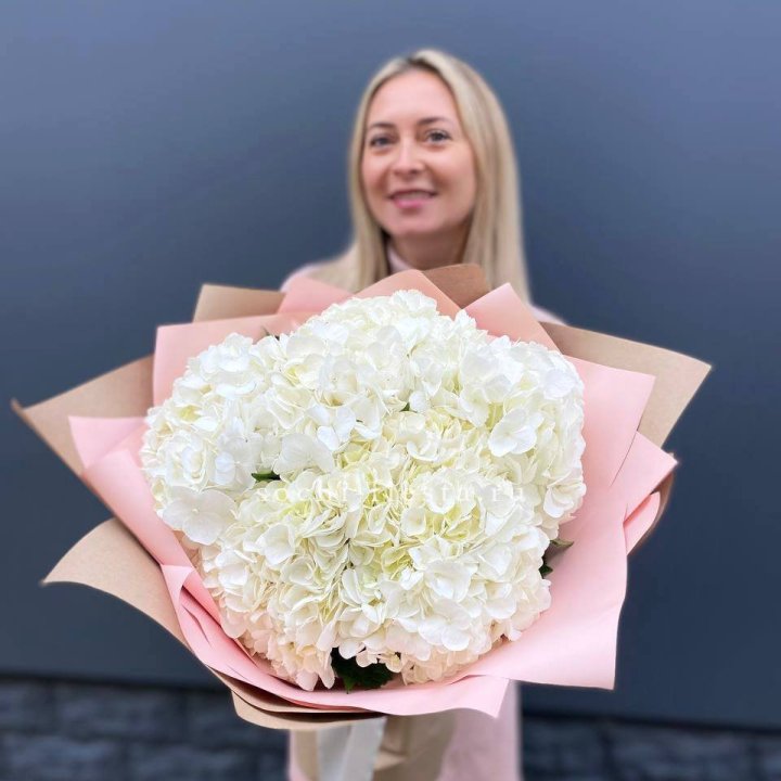 Гортензия белая в Хабаровске