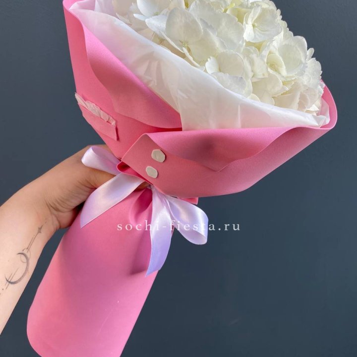 Гортензия в розовом пиджаке в Хабаровске