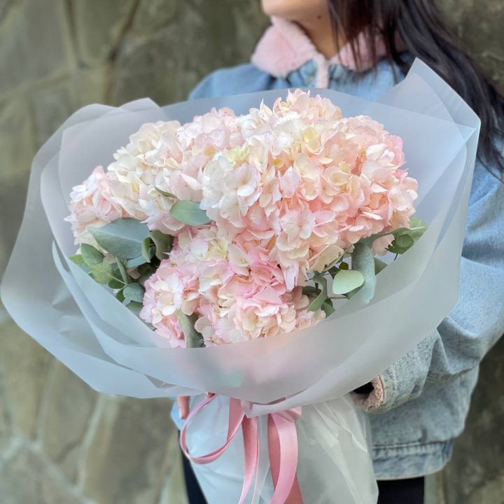 5 розовых гортензий в Хабаровске