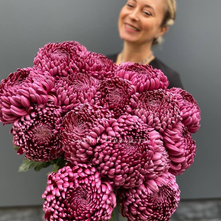 Охапка хризантем Бигуди в Хабаровске