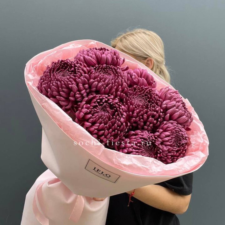 9 хризантем бигуди в Хабаровске