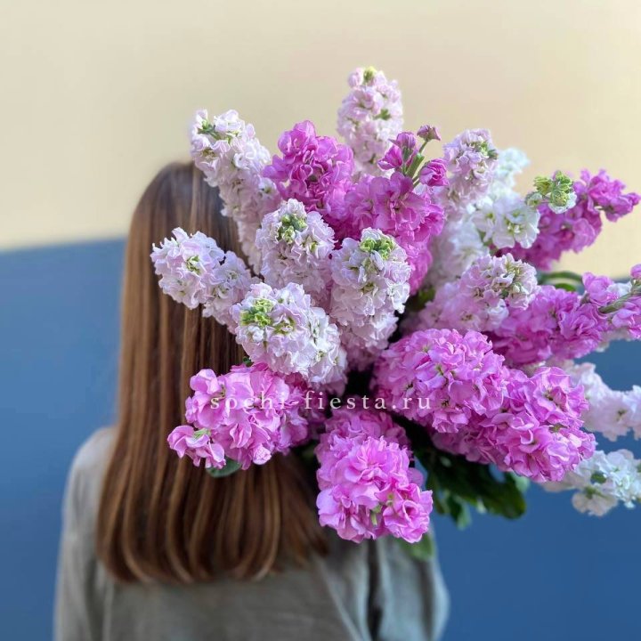 Охапка маттиолы в Хабаровске