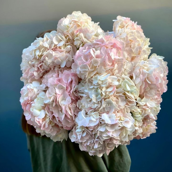 Охапка розовой гортензии в Хабаровске