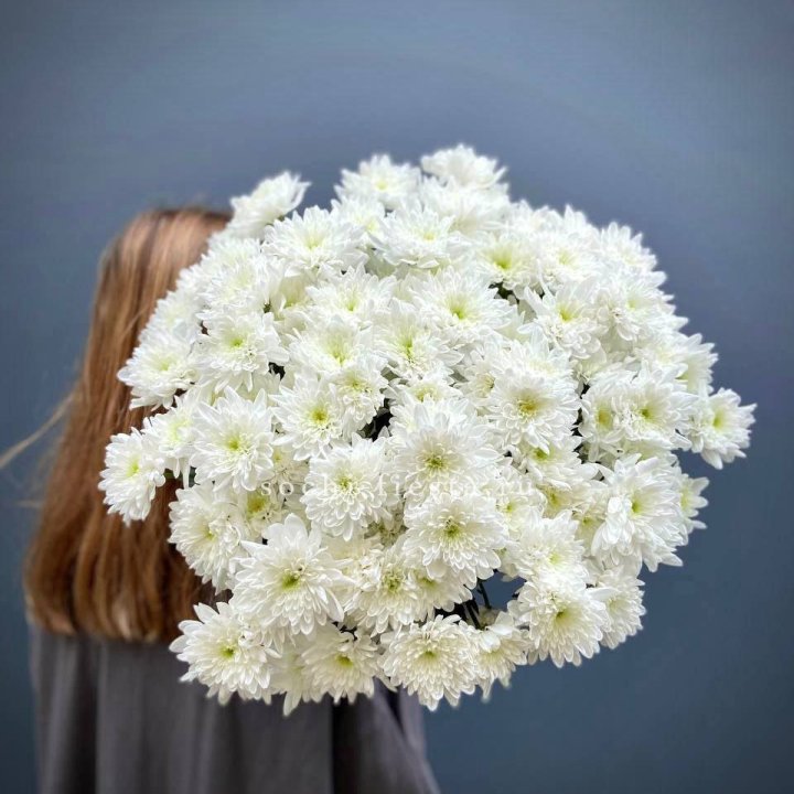 Охапка Хризантемы кустовой в Хабаровске