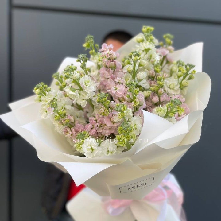 29 маттиол  в Хабаровске