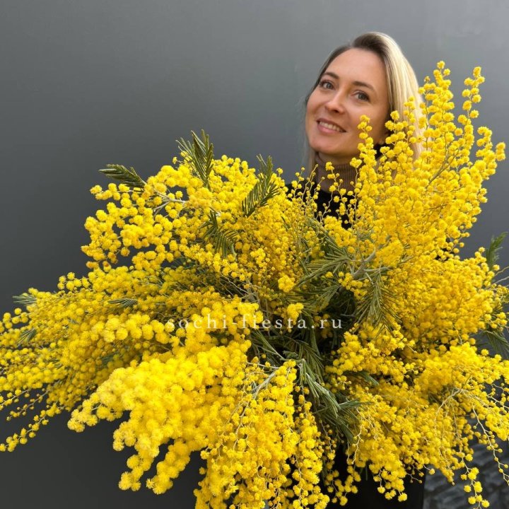 Охапка мимозы №2 в Хабаровске