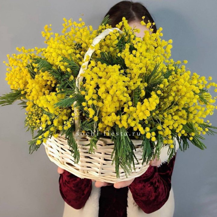Корзина ароматной мимозы в Хабаровске