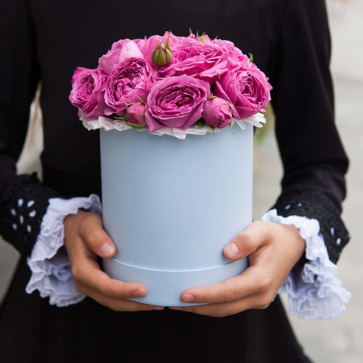 Бокс мини мисти в Хабаровске