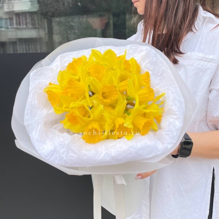 Нарциссы 25 шт в Хабаровске