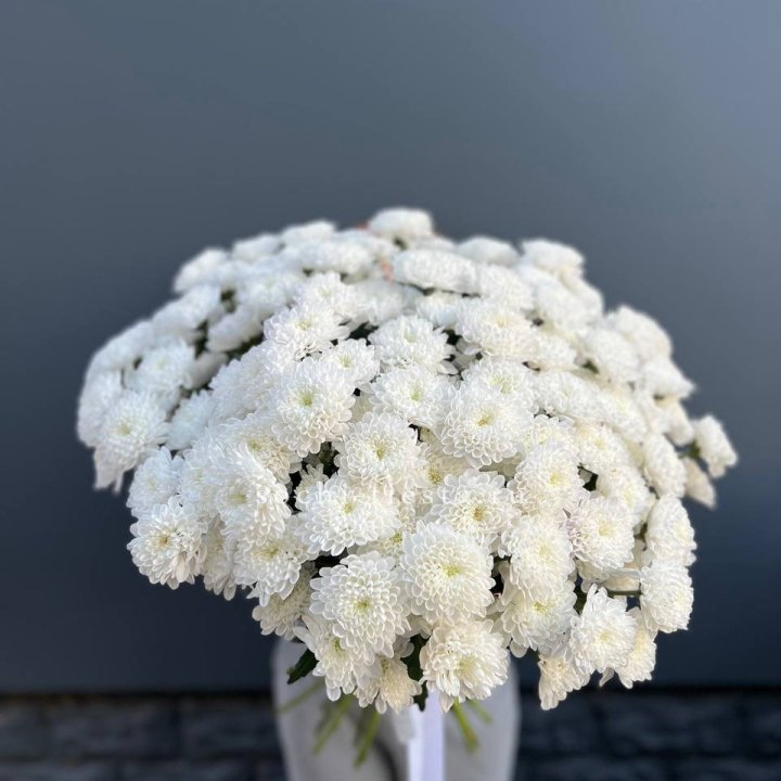  25 хризантем белых в Хабаровске