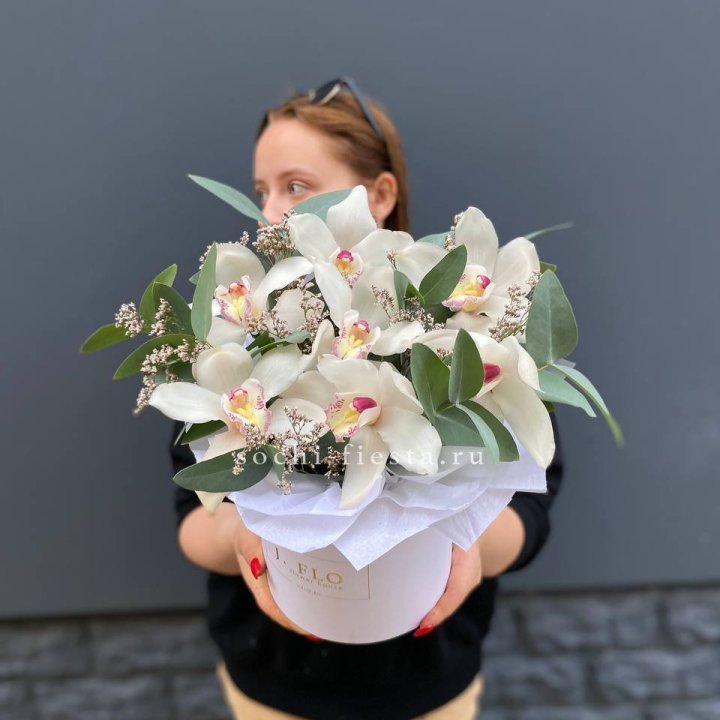 7 орхидей в боксе в Хабаровске