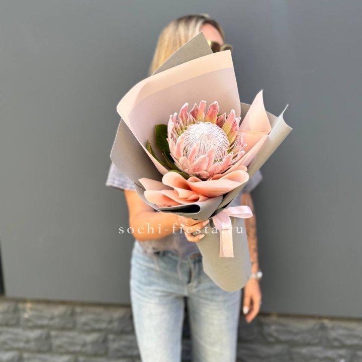 Протея мини  в Хабаровске