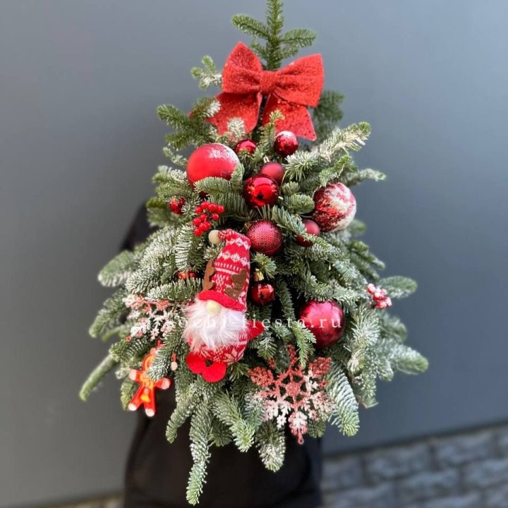 Новогодняя елочка "Ред" в Хабаровске