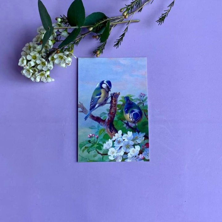 Открытка к букету "Птицы" в Хабаровске