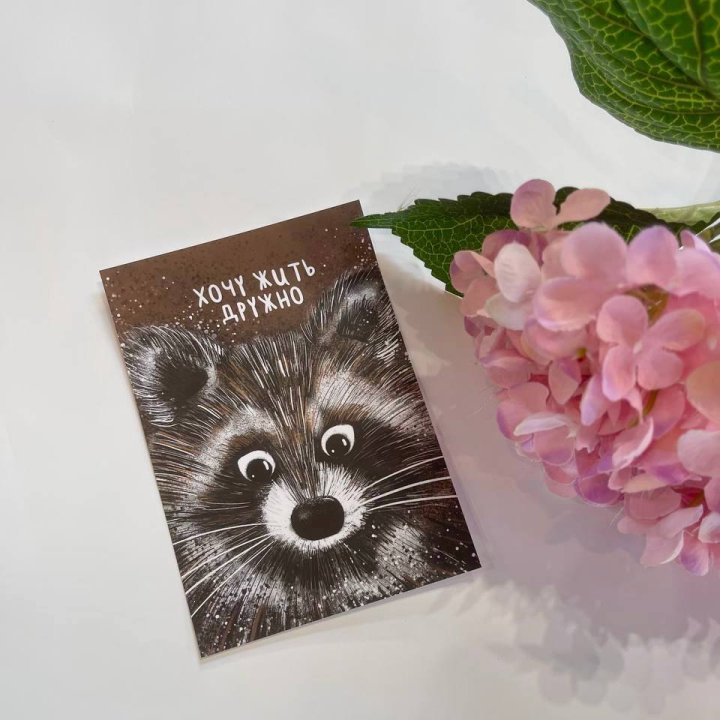 Открытка к букету "Енотик" в Хабаровске