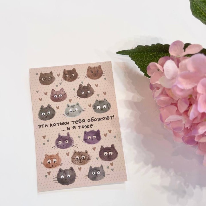 Открытка к букету "Котики" в Хабаровске