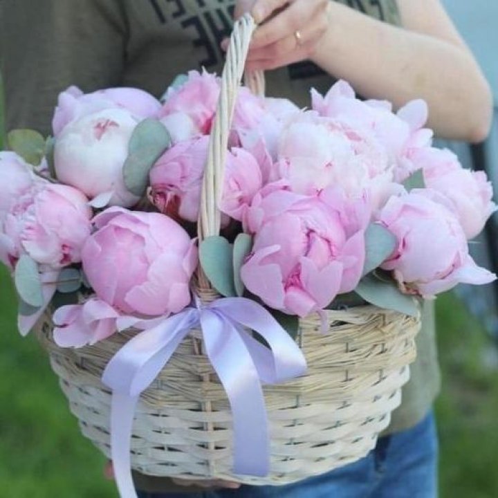 15 пионов в корзине в Хабаровске