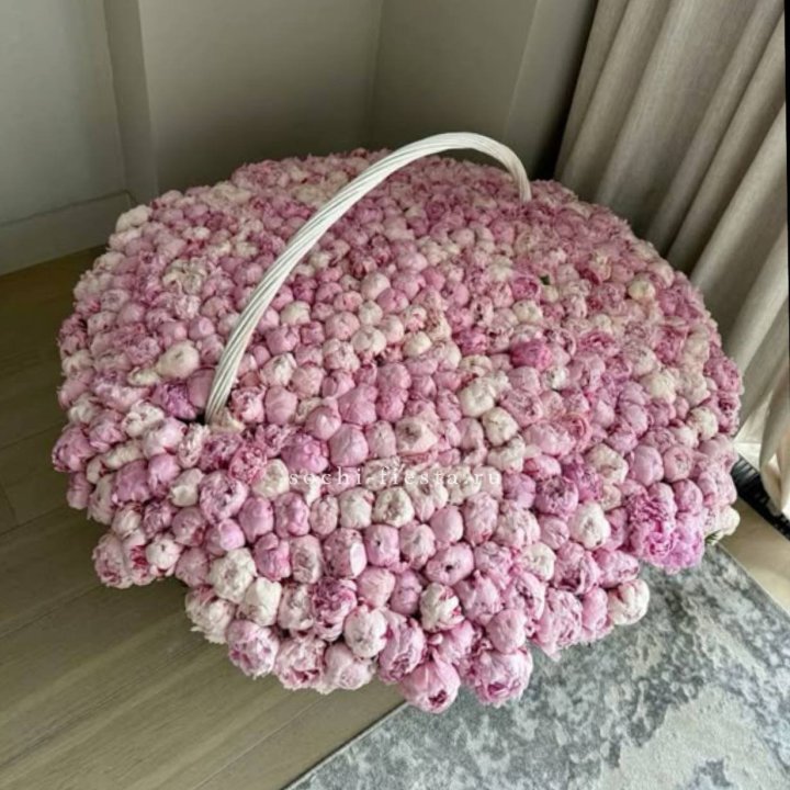 Корзина 555 пионов в Хабаровске