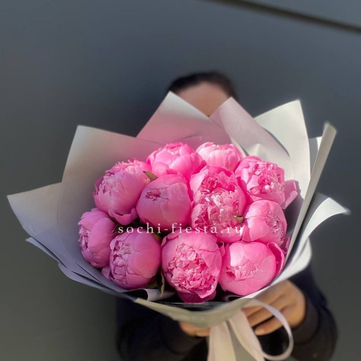 Пионы Алекс флеминг в Хабаровске