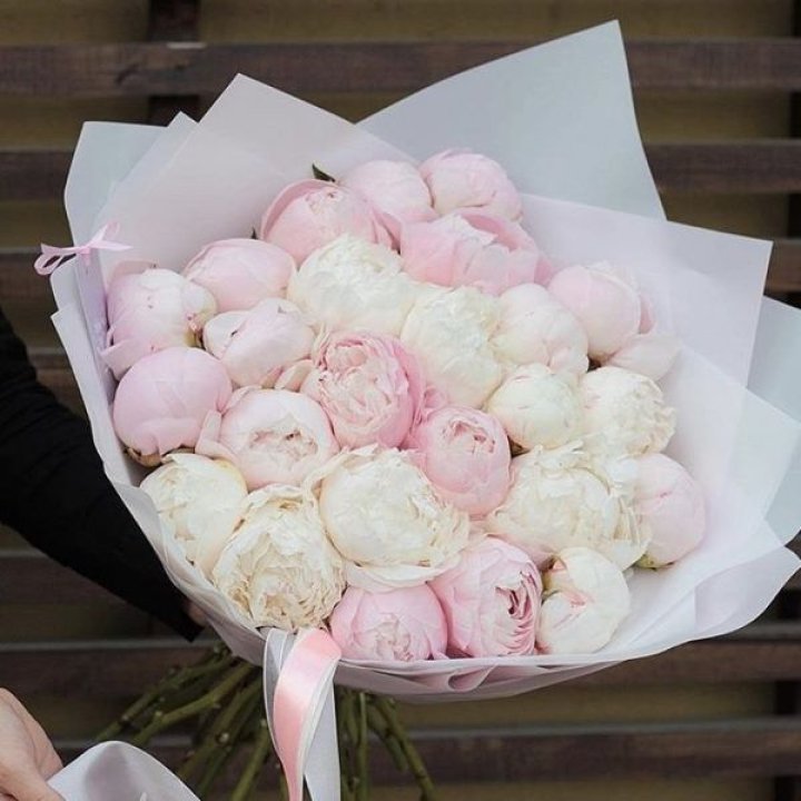 29 пионов в Хабаровске