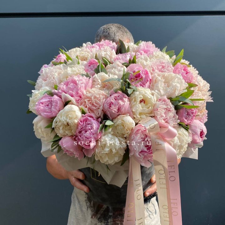 51 пионов в боксе в Хабаровске