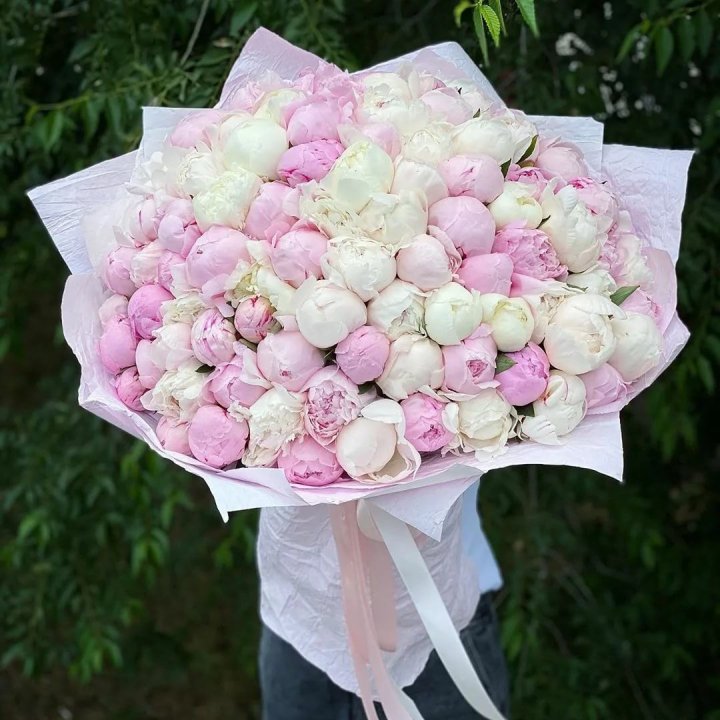 101 пион в Хабаровске