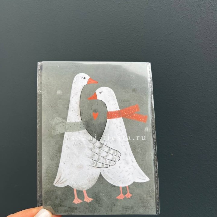 Открытка к букету "Гуси” в Хабаровске