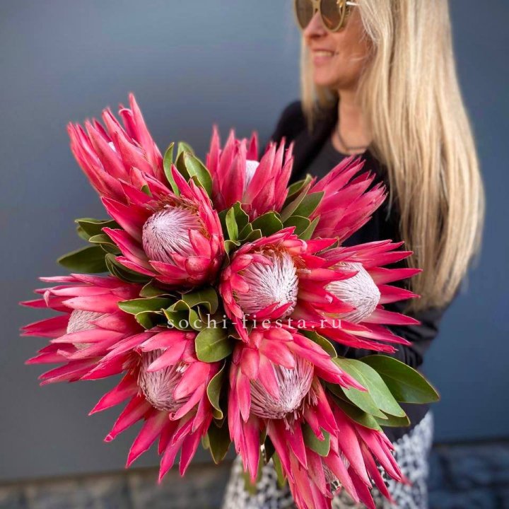 Протея штучно в Хабаровске