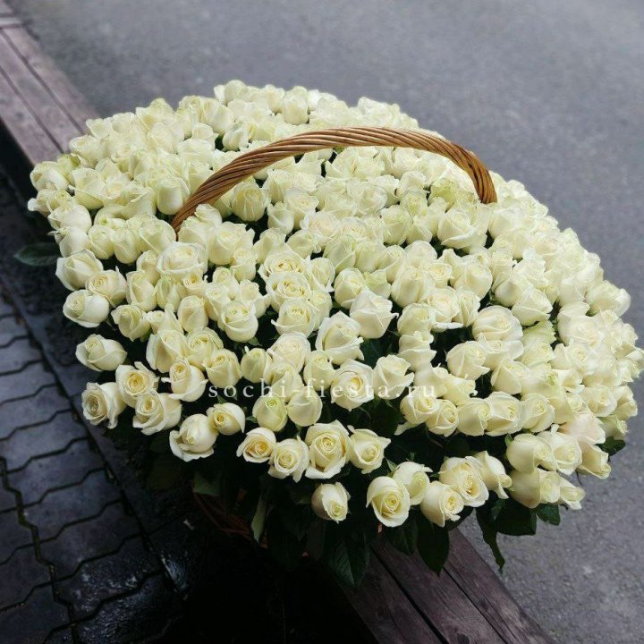 303 розы в корзине в Хабаровске