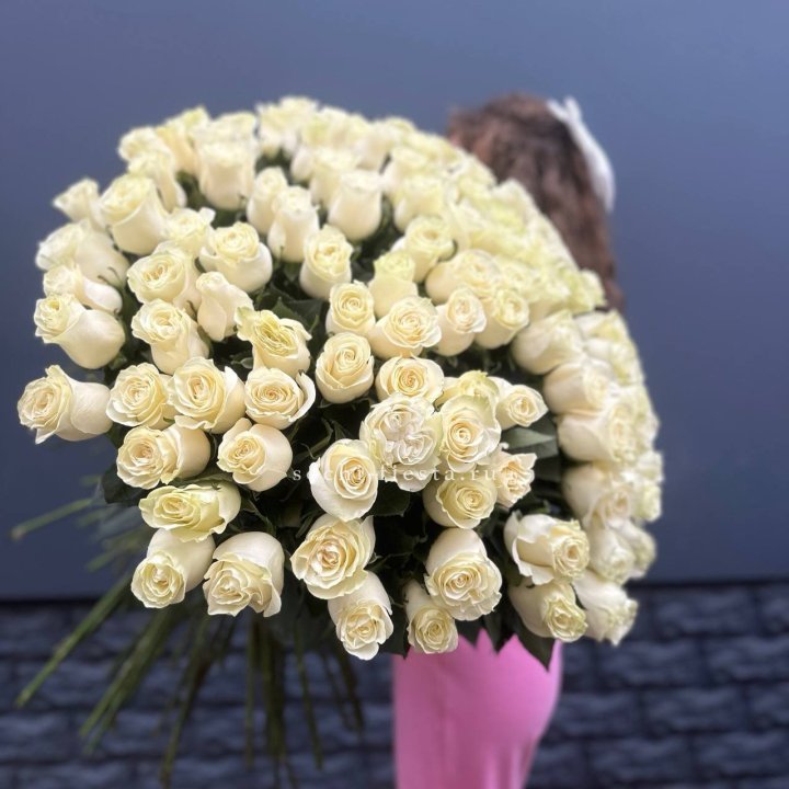 101 белая высокая импортная роза под ленту в Хабаровске