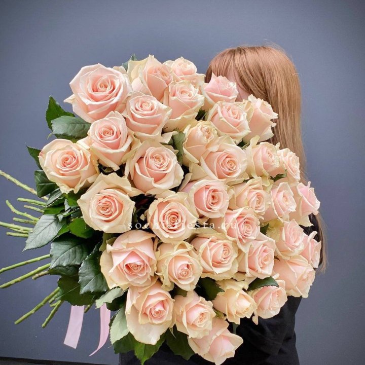 35 кремовых высоких роз в Хабаровске
