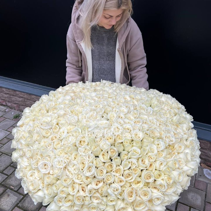 501 белая роза в корзине в Хабаровске