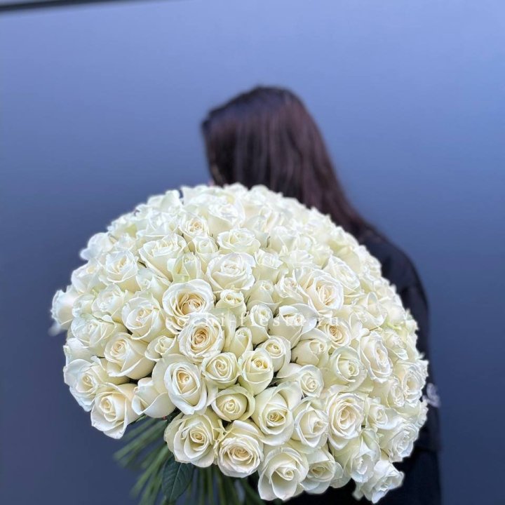 Охапка из 101 белой розы  в Хабаровске