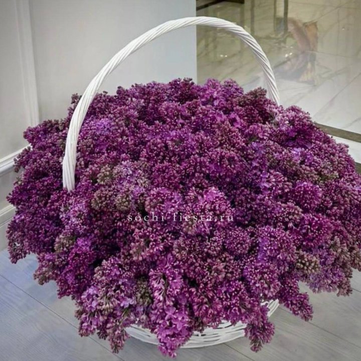 Корзина сирени в Хабаровске