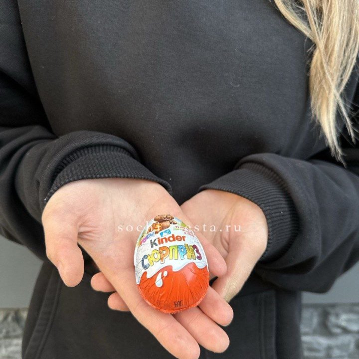 Яйцо "Киндер Сюрприз" в Хабаровске