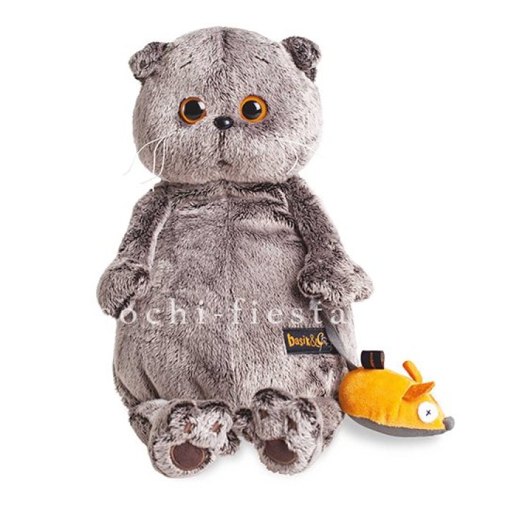 Кот Басик с мышкой в Хабаровске