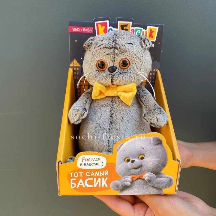 Кот Басик с бабочкой в Хабаровске