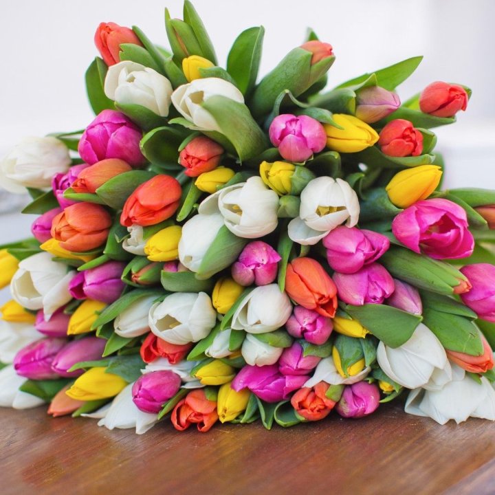 79 тюльпанов "Рандом" в Хабаровске