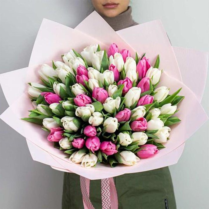 61 бело-розовый тюльпан в Хабаровске