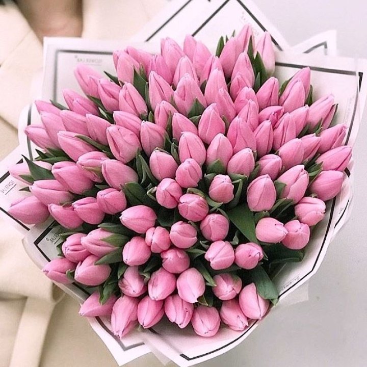 101 розовый тюльпан в белом в Хабаровске