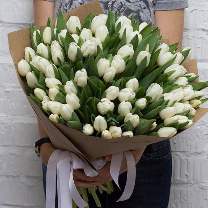 101 тюльпан сноу в Хабаровске