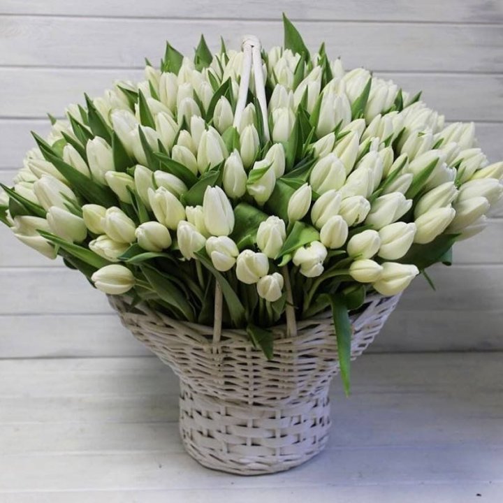 Корзина из 151 тюльпана в Хабаровске