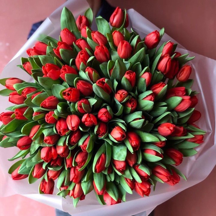 101 красный тюльпан в Хабаровске